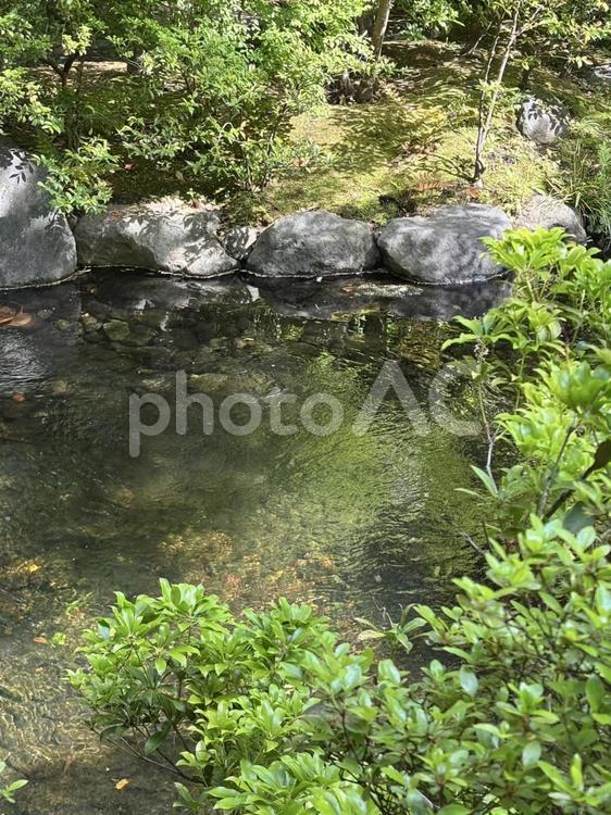 神嶽山神苑の神秘的な泉 - 八気の泉 神嶽山神苑,八気の泉,泉の写真素材