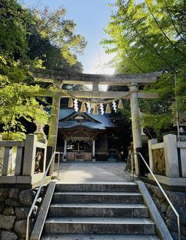 鳥居と社殿 鳥居と社殿 茨城県,日立市,泉神社の写真素材