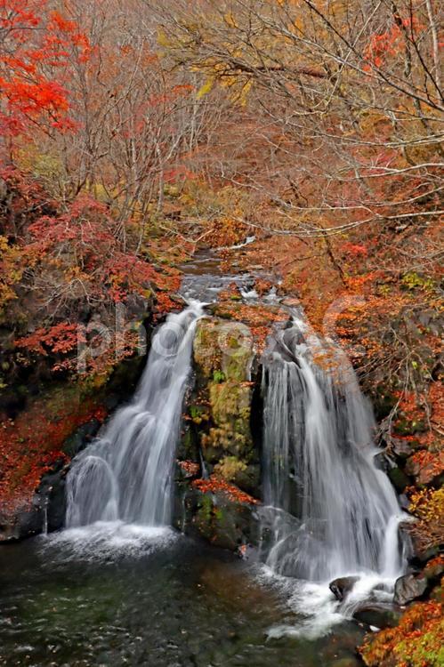 旅行や秋の大自然のイメージ 旅,旅行,観光の写真素材