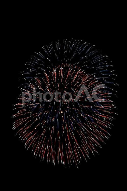 夜空に咲く打ち上げ花火 打ち上げ花火,花火,はなびの写真素材