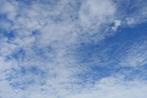 秋の青空と鱗雲 秋の青空と鱗雲 鱗雲,鰯雲,秋空の写真素材