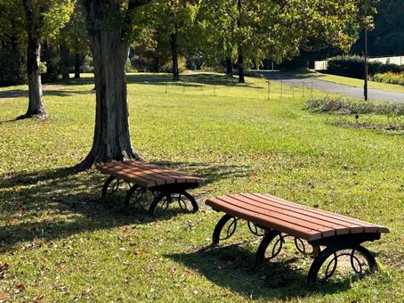 秋の散歩道 散歩道,畑,公園の写真素材