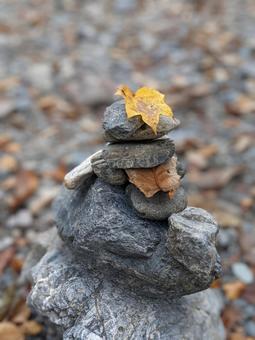 秋の小石 秋の小石 秋,紅葉,河原の写真素材