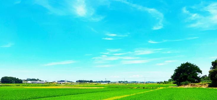 田園風景 田園風景の写真