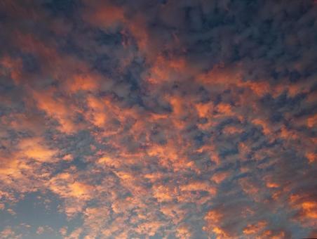茜雲 茜雲の写真