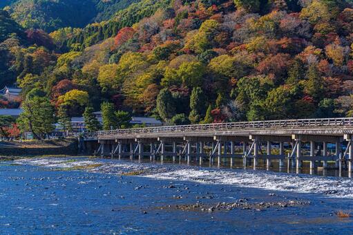 京都　嵐山　渡月橋　紅葉 嵐山,渡月橋,桂川の写真素材