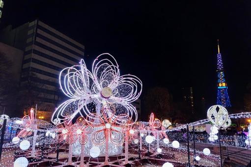 夢幻の輝き：光のオブジェとテレビ塔 イルミネーション,ホワイトイルミネーション,札幌の写真素材