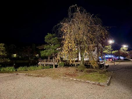 秋の夜長　福井県紫式部公園 紫式部公園,福井県,庭園の写真素材