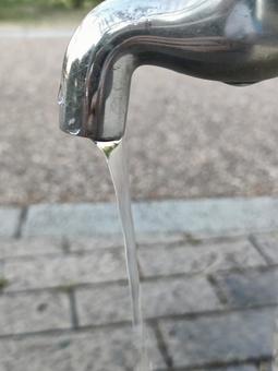 蛇口 蛇口の写真
