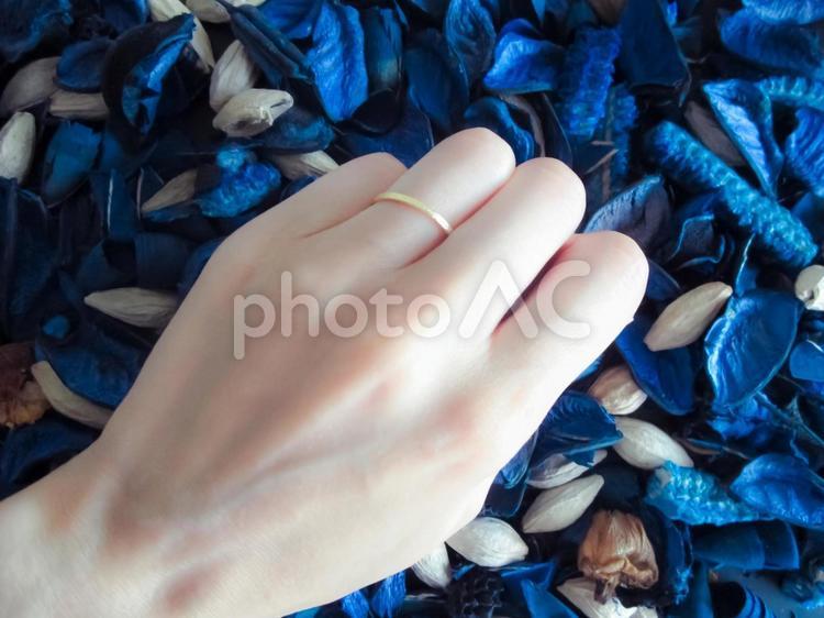 金の結婚指輪とサムシングブルー 結婚指輪,金,金色の写真素材