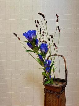 Photo, flower arrangement, gentian, i also red, 