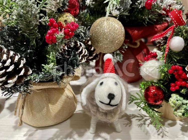 ほっこりわんちゃん クリスマス,犬,人形の写真素材