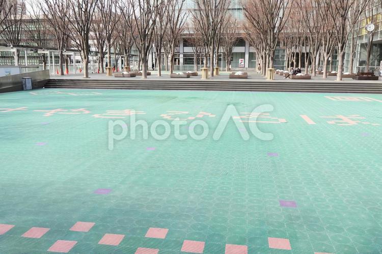 さいたまスーパーアリーナの前けやき広場 けやき広場,ケヤキ,冬の日の写真素材