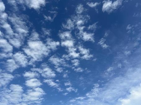 Blue sky-2 Blue sky-2の写真