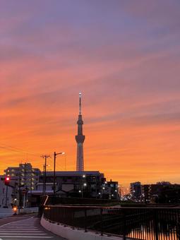東京スカイツリーと夕暮れ 東京スカイツリーと夕暮れ 空,風景,夕暮れの写真素材