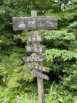 夏の高尾山　山頂の看板 看板,道案内,森の写真素材