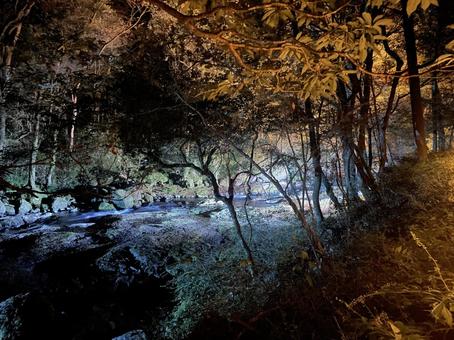 菊池渓谷 菊池渓谷,熊本,ライトアップの写真素材