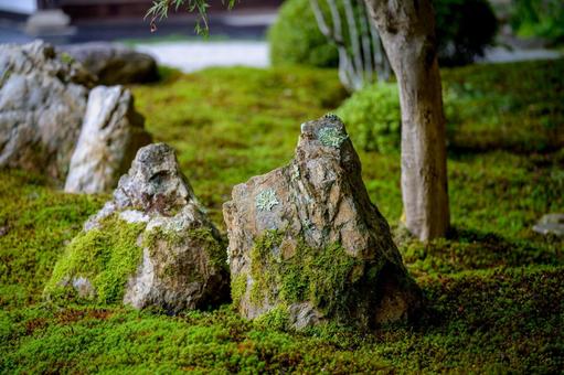 枯山水 枯山水の写真