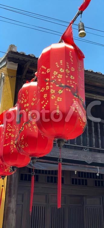ホイアンの街を彩る赤い提灯 提灯,ランタン,ホイアンの写真素材