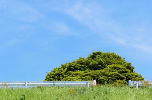 ガードレール越しの樹木と青空 ガードレール越しの樹木と青空 青空,春空,空の写真素材