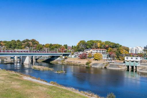 【神奈川】多摩川の風景3 多摩川,電車,陸橋の写真素材