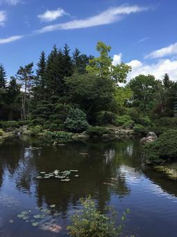夏空!池に映る新緑がさわやか 夏空!池に映る新緑がさわやかの写真