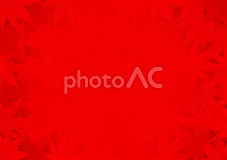 中央無地 赤ベースの和紙と紅葉の背景 背景,もみじ,秋の写真素材