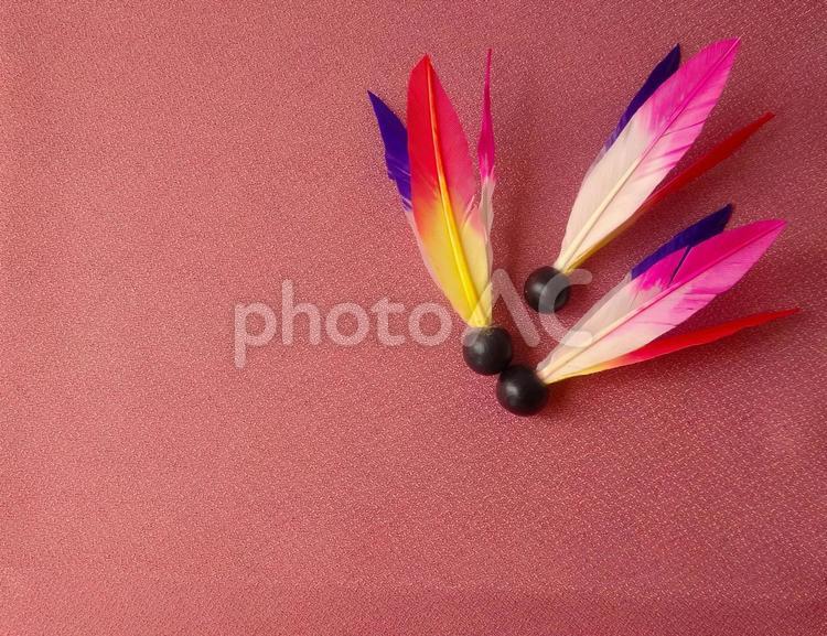 羽根に託す願い お正月,背景,正月遊びの写真素材