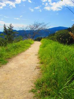 続く山道 続く山道の写真
