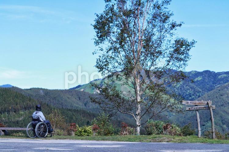 車椅子の素敵な風景 道路,風景,旅の写真素材