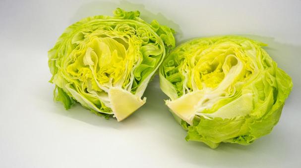 半分に切ったレタス 白背景 半分に切ったレタス 白背景 レタス,野菜,食材の写真素材