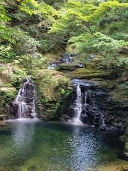 滝 滝の写真