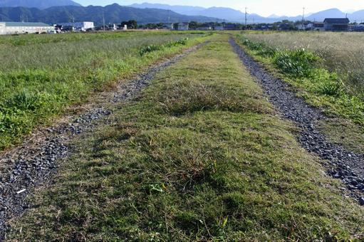 畦道　あぜ道 自然,小道,あぜ道の写真素材