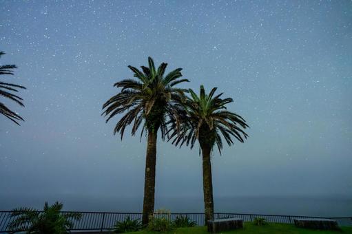 夜の堀切峠 夜の堀切峠 堀切峠,星,星空の写真素材