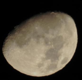 月夜 月夜の写真
