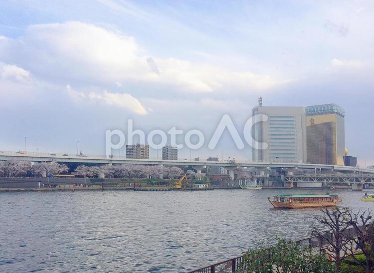 東京風景・隅田川 言問橋,隅田川,桜の写真素材