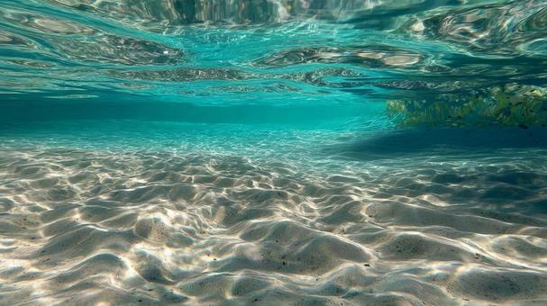 穏やかな海底と水面の光のきらめき 穏やかな海底と水面の光のきらめきの写真