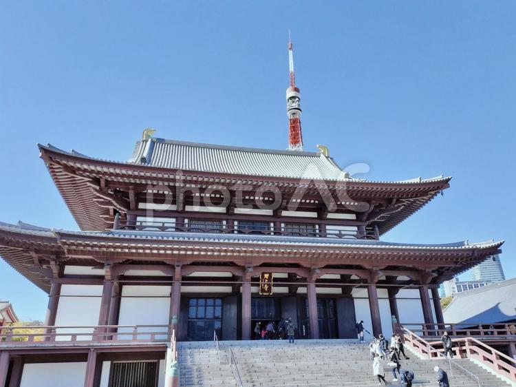 増上寺と東京タワー 東京タワー,増上寺,東京の写真素材