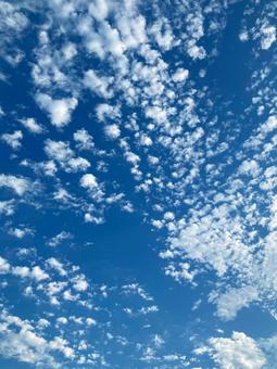 空_ブルー(004) 空_ブルー(004)の写真