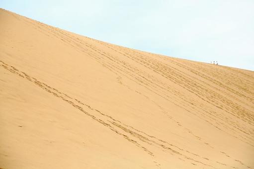 鳥取砂丘の馬の背 鳥取砂丘,馬の背,国立公園の写真素材