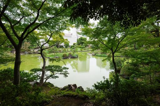 旧安田庭園 旧安田庭園 旧安田庭園,東京,安田庭園の写真素材