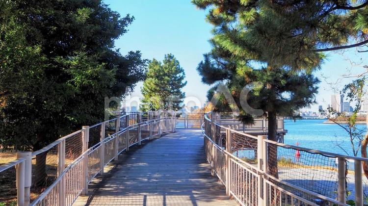 お台場海浜公園の散歩道（東京都・お台場） 冬,お台場海浜公園,散歩道の写真素材