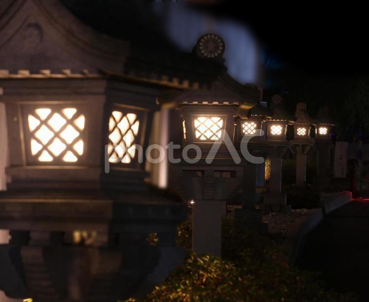 神社の入口へ続く灯籠 灯籠,灯篭,石灯篭の写真素材