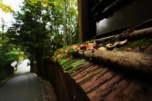 熊本 黒川温泉 苔むした通り沿いの塀 黒川温泉,塀,苔の写真素材