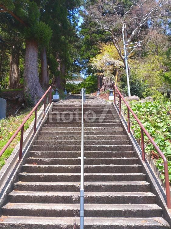 寺院参道の石階段 石段,石階段,参道の写真素材