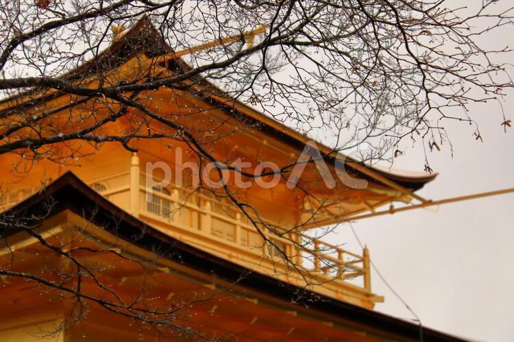 露浮かぶ金閣寺 屋根,建築,木材の写真素材