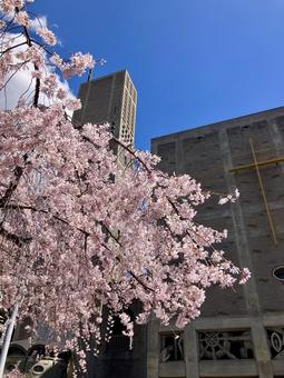 風景_154 風景_154の写真