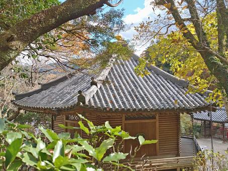 奈良県-長谷寺-六角堂 長谷寺,寺,豊山の写真素材