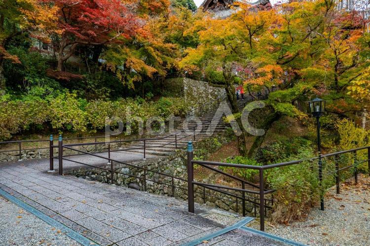 奈良県　長谷寺の紅葉 紅葉,風景,日本の写真素材