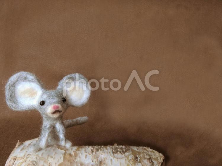 ネズミと白樺 ねずみ,ネズミ,鼠の写真素材
